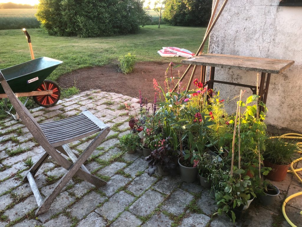 Urvalet av växter med tanke på färgernas samspel, variation i formerna ... och vad katten tycker om...;-)