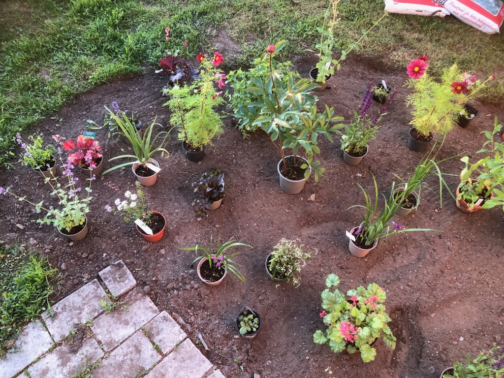 Utplacering och test... både perenner och sommarblommor fick plats och hjälpte till med färgsättningen redan från dag 1.